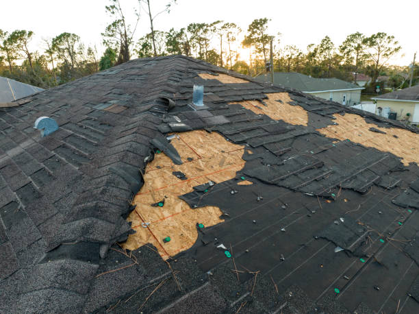 Best Roof Maintenance and Cleaning  in Denair, CA